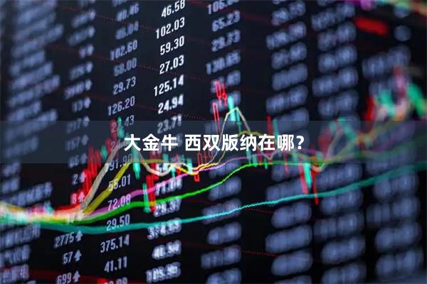 大金牛 西双版纳在哪？